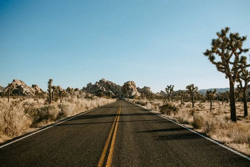 Joshua Tree National Park